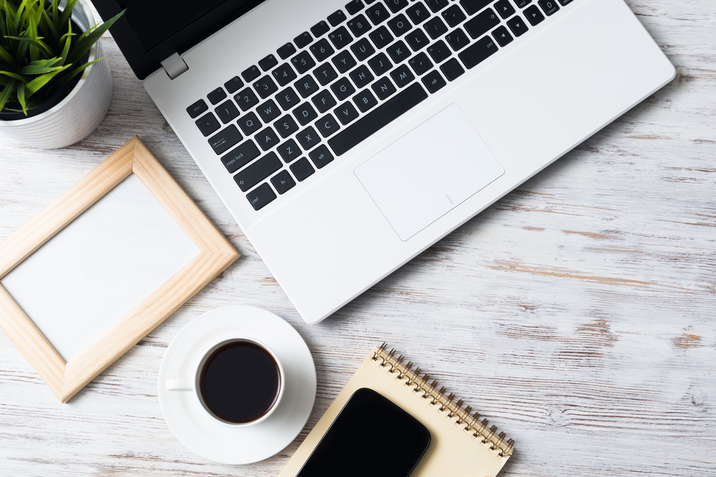 best freelance writing gigs for newbies