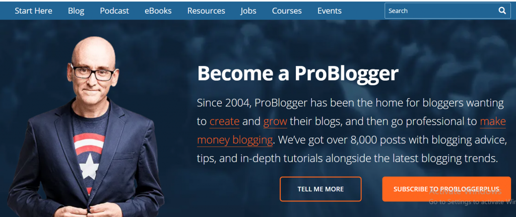 pro blogger