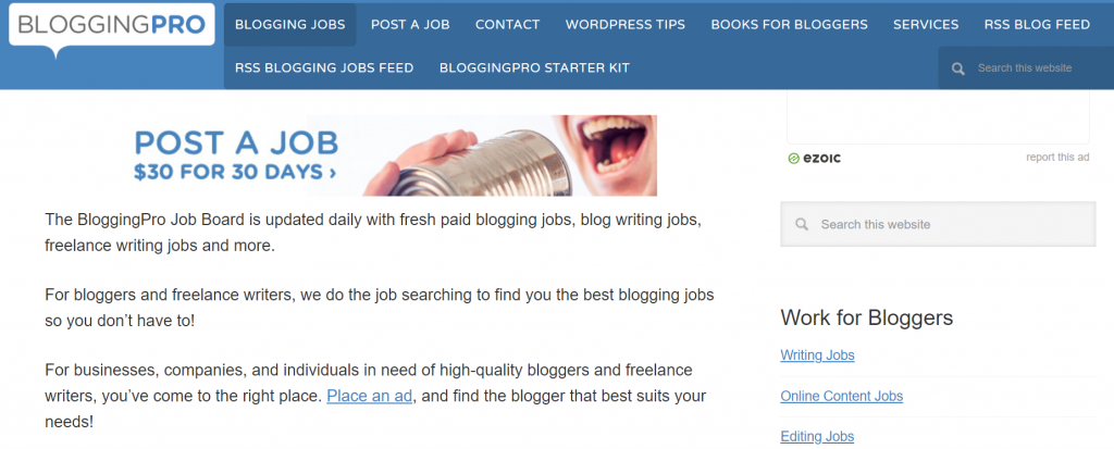 blogging pro